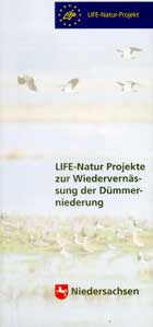 Life_Projekt_Klein.pdf